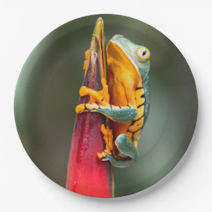 Tiger Legged Monkey Tree Frog Green Orange Paper Plate