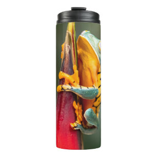 Tiger Legged Monkey Tree Frog Green Orange Thermal Tumbler