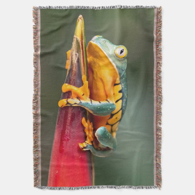 Tiger Legged Monkey Tree Frog Green Orange Throw Blanket (Front Vertical)