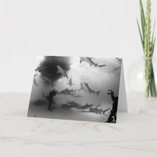 Tiger & Lemon Shark notecard (Front)