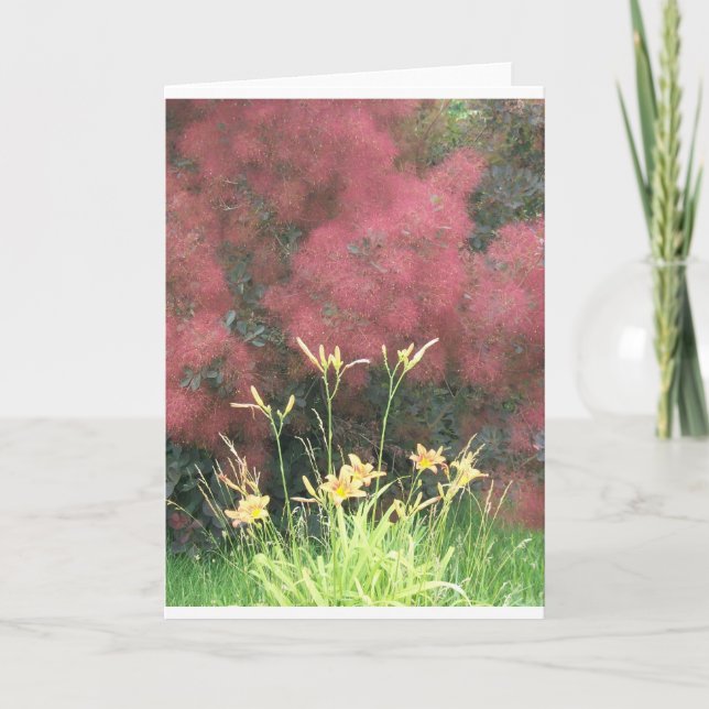 Tiger Lilies and Smoketree Card (Front)