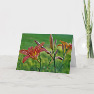 Tiger Lilies Card