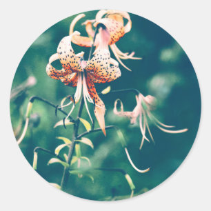Tiger lilies classic round sticker