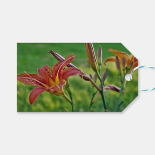 Tiger Lilies Gift Tags