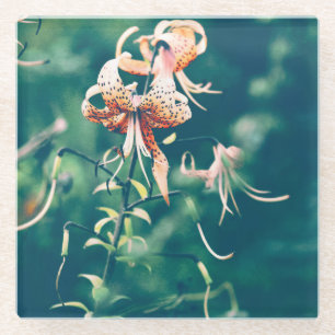 Tiger lilies glass coaster