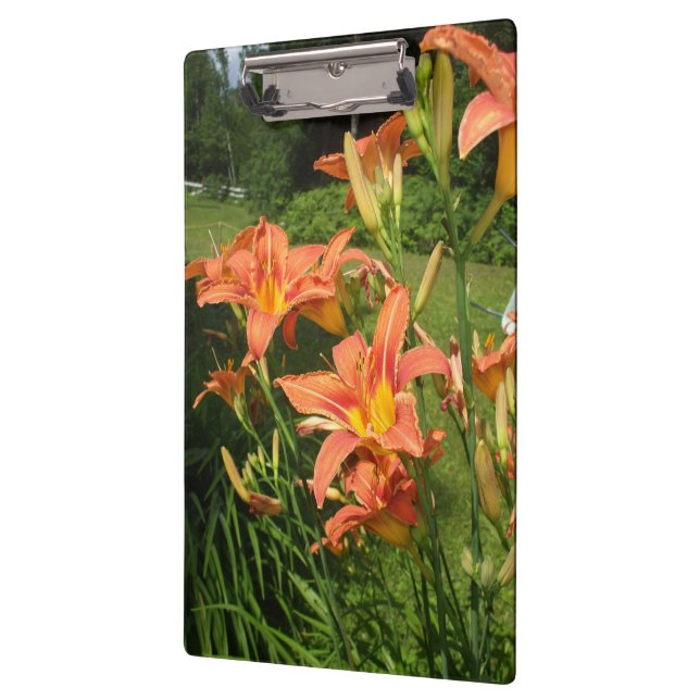 Tiger Lilies in a Garden Clipboard (Left)