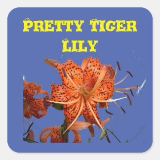 Tiger Lilies stuck on blue Bloom love for a Filly  Square Sticker