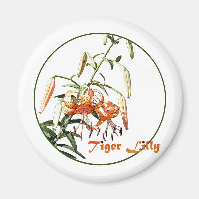 Tiger Lilly Magnet (Front)