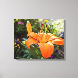 Tiger Lily Canvas Print