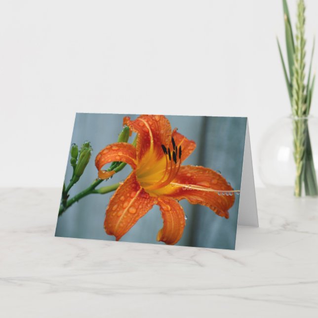 Tiger Lily Card (Front)