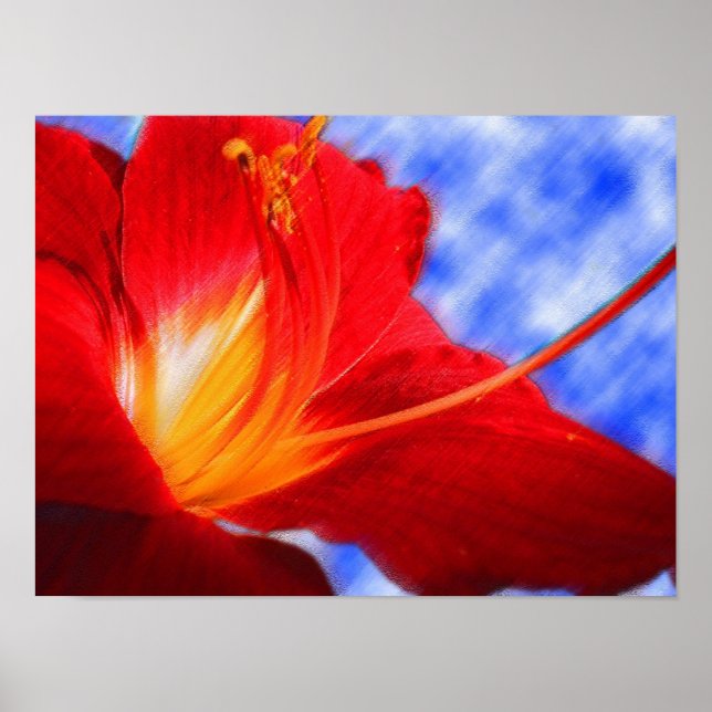 Tiger Lily "drawing" Poster (Front)