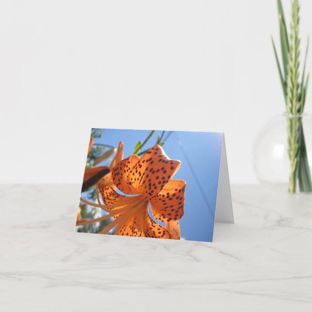 Tiger Lily Flower Easter Card (Front)