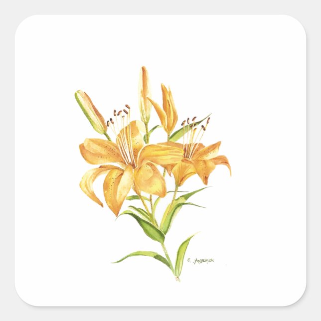 Tiger-lily flowers watercolor square sticker (Front)
