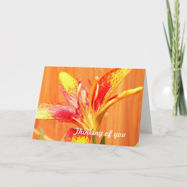 Tiger Lily Greeting Cards (Front)