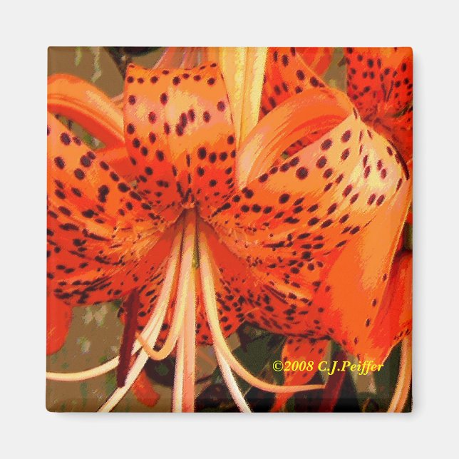 'Tiger Lily' Magnet (Front)