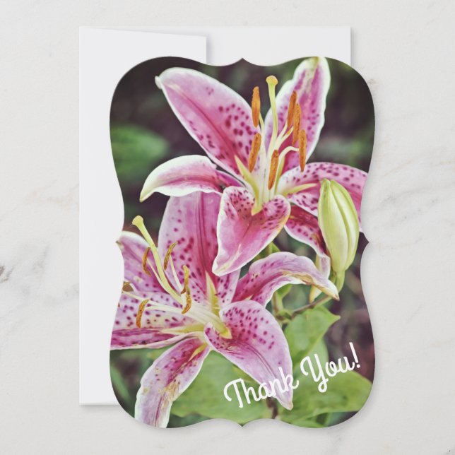 Tiger Lily Pink Flower Thank You Flat Note Card (Front)