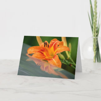 Tiger Lily Reflection Card