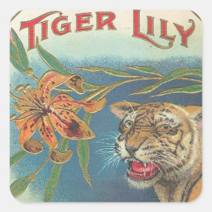 Tiger Lily Square Sticker