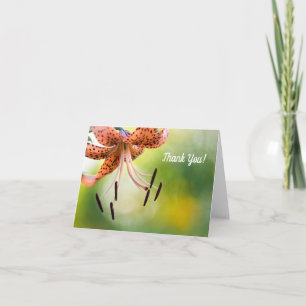 Tiger Lily Thank You Card