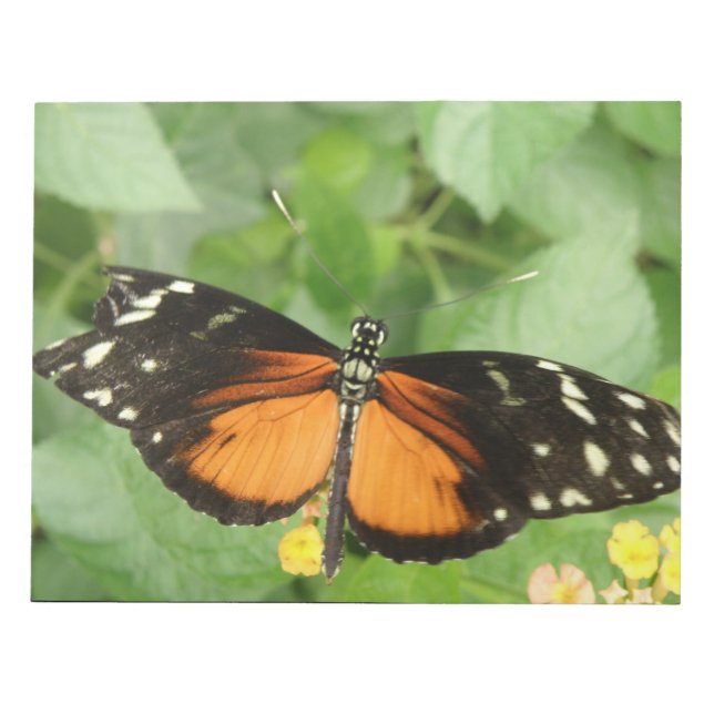 Tiger Longwing Butterfly Notepad (Front)