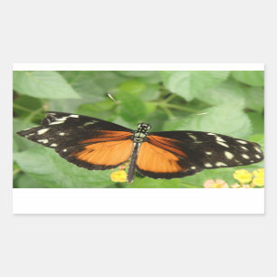 Tiger Longwing Butterfly Stickers