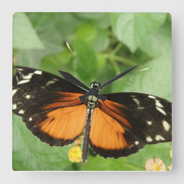 Tiger Longwing Butterfly Wall Clock (Front)
