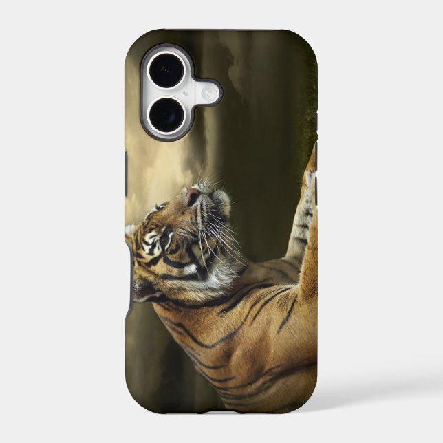Tiger looking and sitting under dramatic sky (Back)