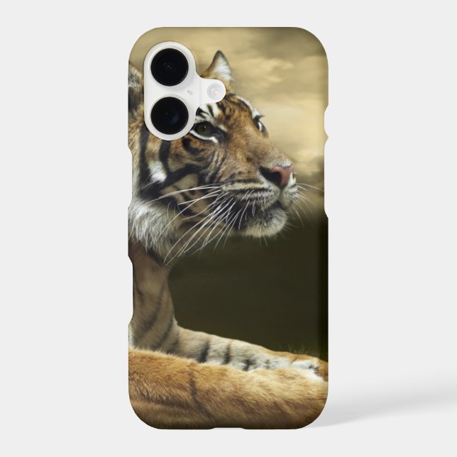 Tiger looking and sitting under dramatic sky (Back)