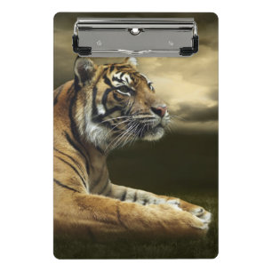 Tiger looking and sitting under dramatic sky mini clipboard