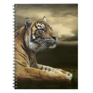 Tiger looking and sitting under dramatic sky notebook