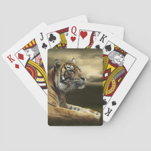 Tiger looking and sitting under dramatic sky playing cards