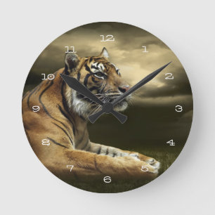 Tiger looking and sitting under dramatic sky round clock