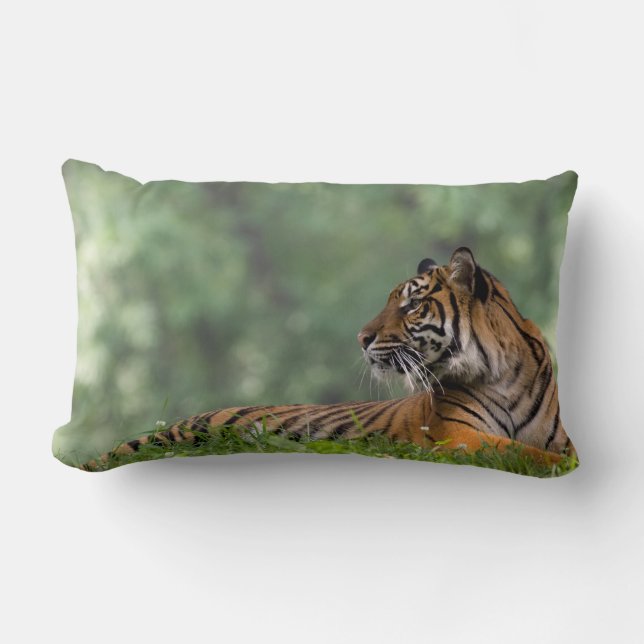 Tiger Lounging Beneath a Tree Lumbar Cushion (Front)
