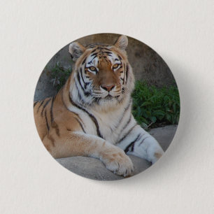 Tiger Love 6 Cm Round Badge