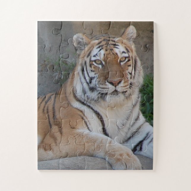 Tiger Love Jigsaw Puzzle (Vertical)