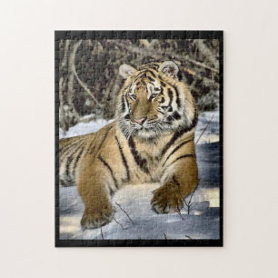 Tiger Love Jigsaw Puzzle