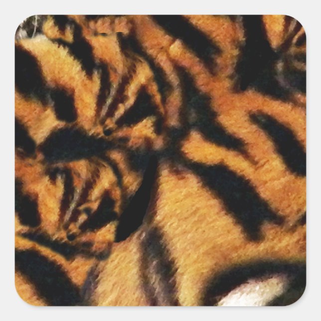 Tiger Love_ Square Sticker (Front)