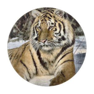 Tiger Lovers Art Cutting Board