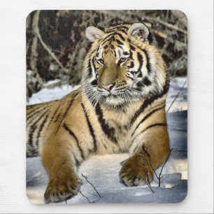 Tiger Lovers Art Gifts Mouse Pad