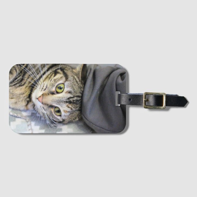 Tiger Luggage Tag (Front Horizontal)