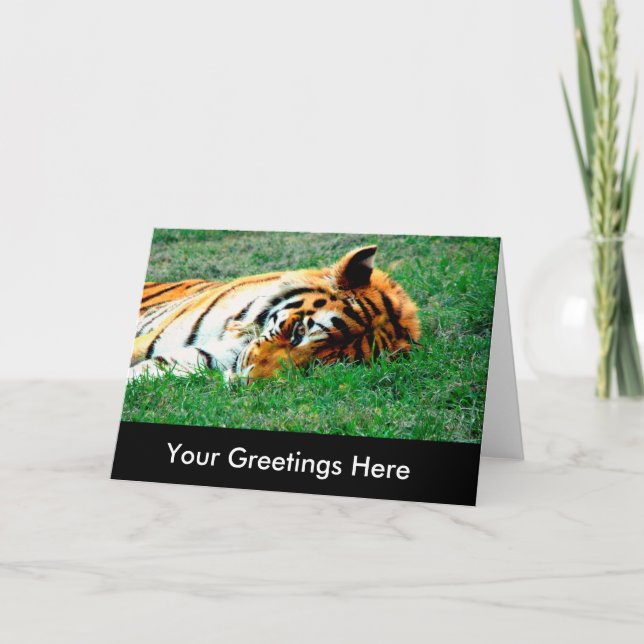 Tiger Lying down Empty Greeting Card (Front)