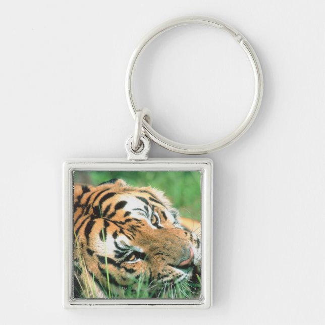 Tiger lying in grass key ring (Front)