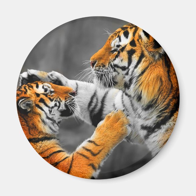 Tiger Magnet (Front)