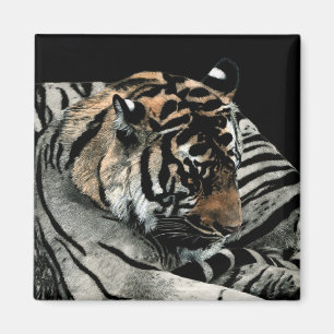 Tiger Magnet #2 - "Sleeping Patterns"