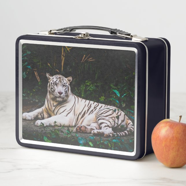 Tiger Metal Lunch Box (In Situ)
