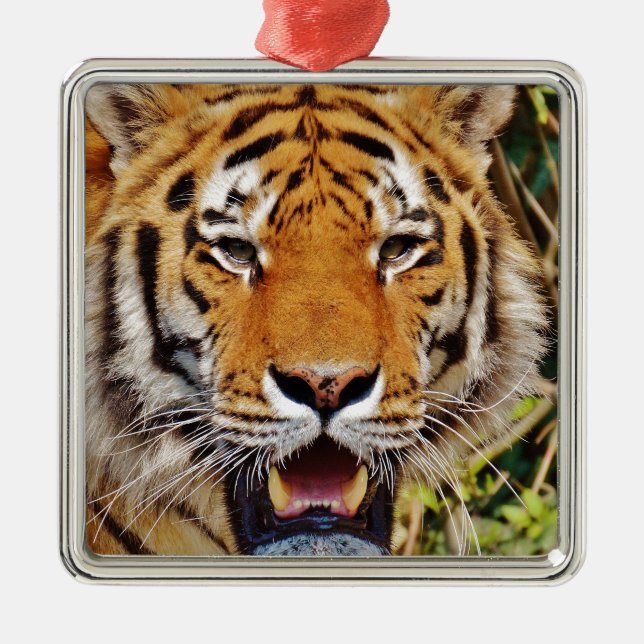 Tiger Metal Ornament (Front)