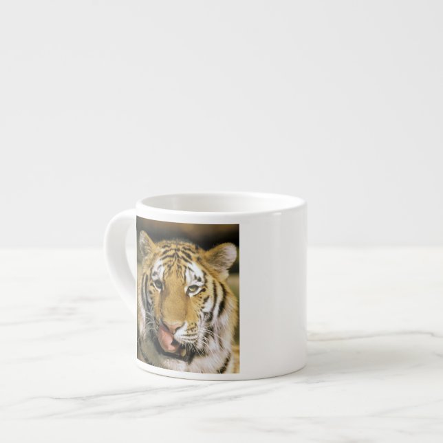 Tiger Michigan Zoo Espresso Cup (Front Left)