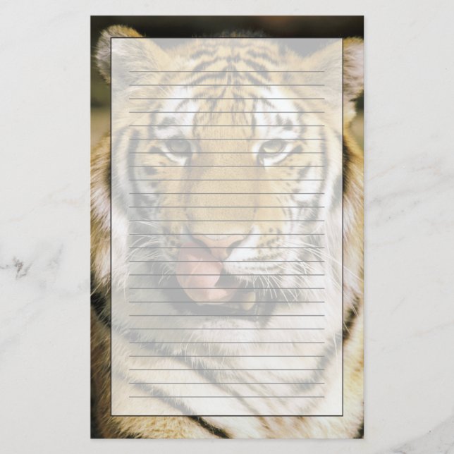 Tiger Michigan Zoo Stationery (Front)