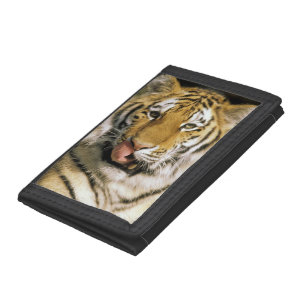 Tiger Michigan Zoo Trifold Wallet