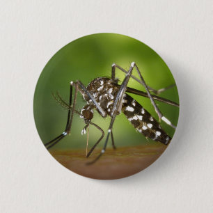Tiger mosquito 6 cm round badge